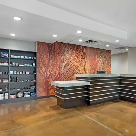 Best Western Plus Lakeview Hotel-3