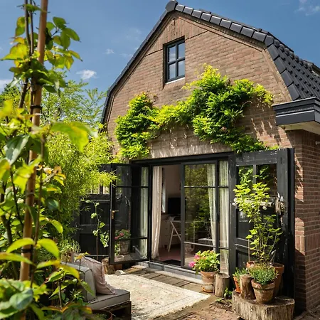 Guesthouse Rotterdam, Tinyhouse Nearby Kralingen-3