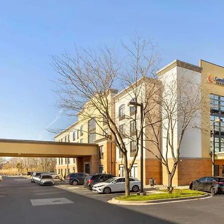 Comfort Inn & Suites Arlington Heights - Schaumburg-3