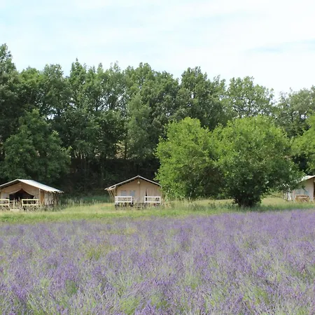 Les Ânes de Forcalquier-2
