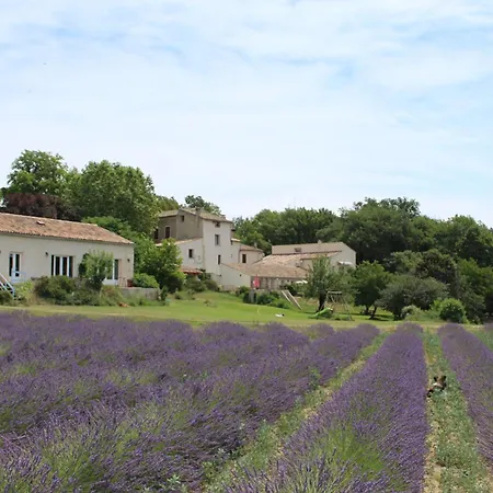 Les Ânes de Forcalquier-3