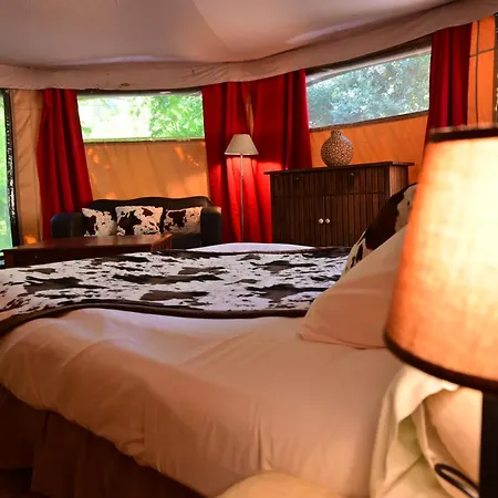 Prehistoric Lodge - Adult Only-3