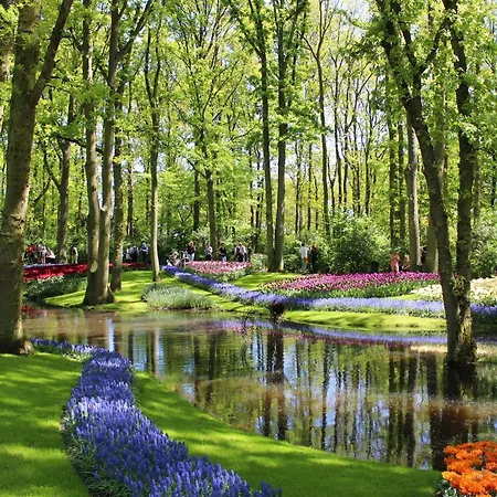 Bed&Breakfast Ineke en John-3