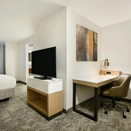 Springhill Suites By Marriott Newnan-2