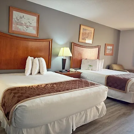 Lake Tree Inn & Suites-3