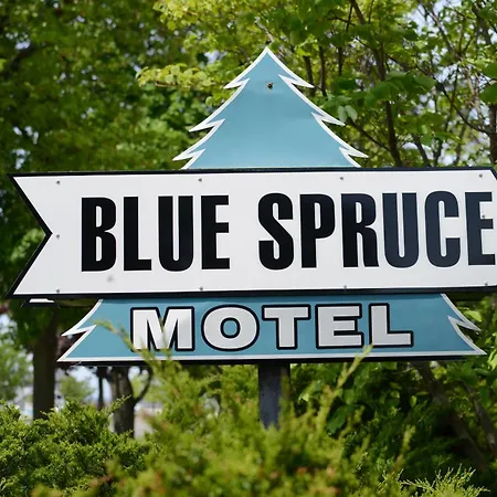 Ludington Blue Spruce Inn-2