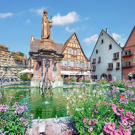 Hotel Colmar Vignes Eguisheim-2