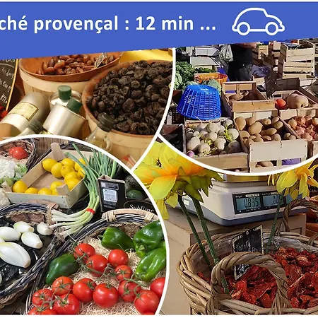 Chambre privée, piscine, pool house, cuisine d'été-3