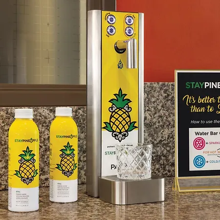 Staypineapple, University Inn, University District Seattle-2