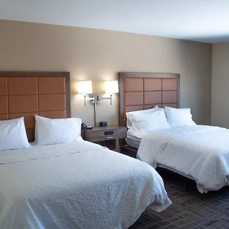 Hampton Inn & Suites Big Rapids, Mi-2