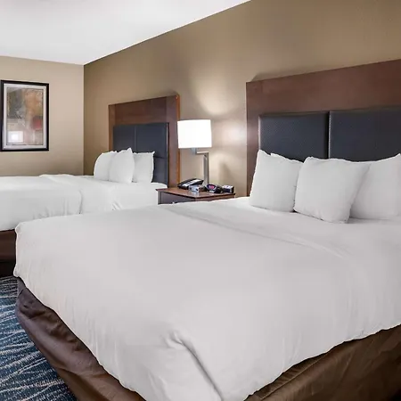 Comfort Inn & Suites Newark - Wilmington-2