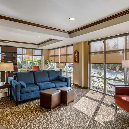 Comfort Suites Seaford-2