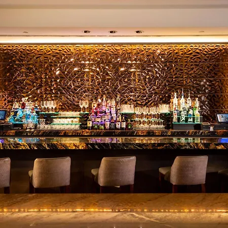 Hilton Americas - Houston-3