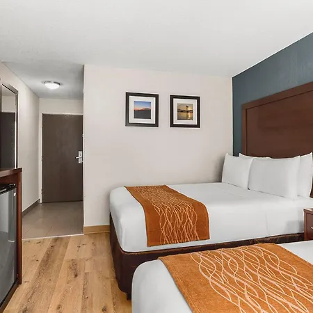 Comfort Inn & Suites Vancouver Downtown City Center-3