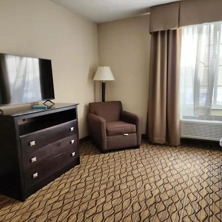 Holiday Inn Express Hotel & Suites Cadillac By Ihg-3