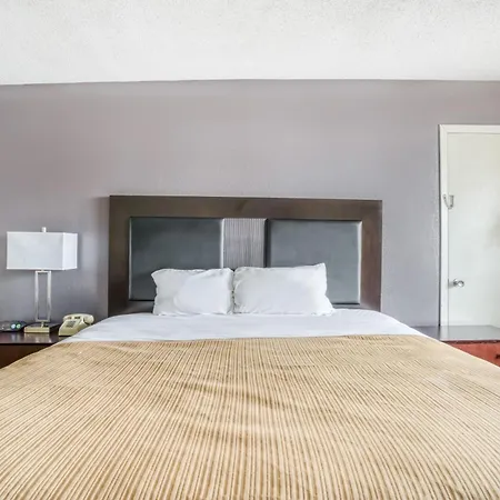 Oyo Hotel Alexandria La- Hwy 165-2