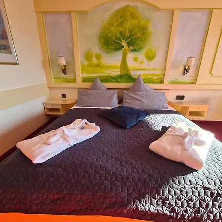 Hotel Birkenmoor-2