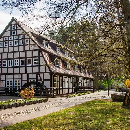 Springbach-Mühle Belzig-3