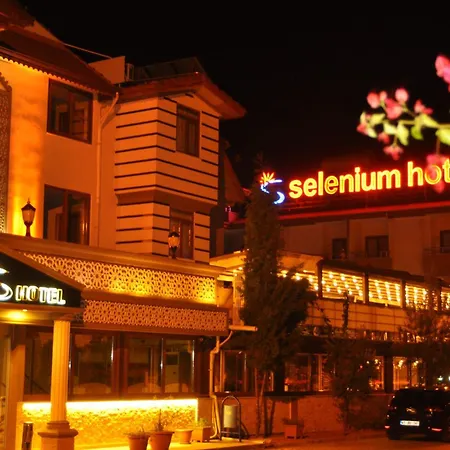 Selenium Hotel-3
