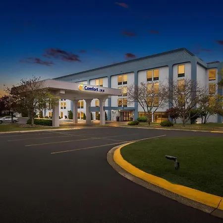 Comfort Inn Cadillac-3