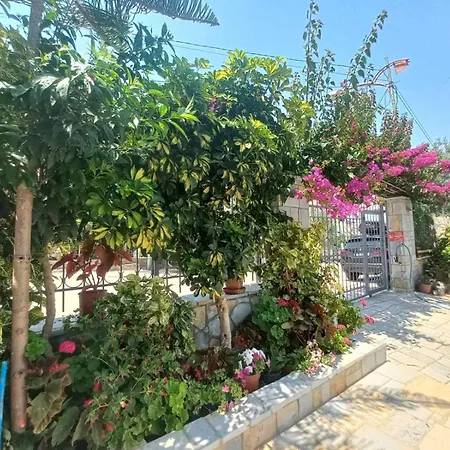 Vila Ester-3