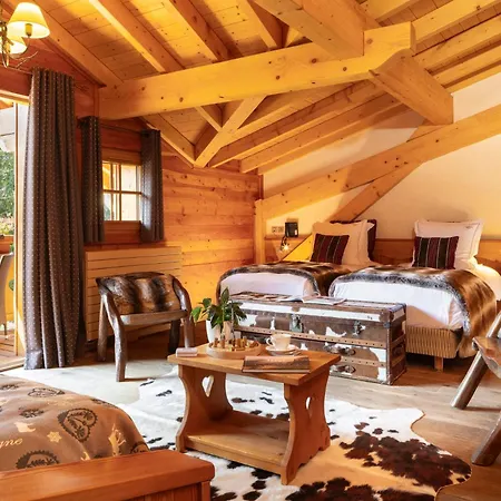 Chalet Mounier-3
