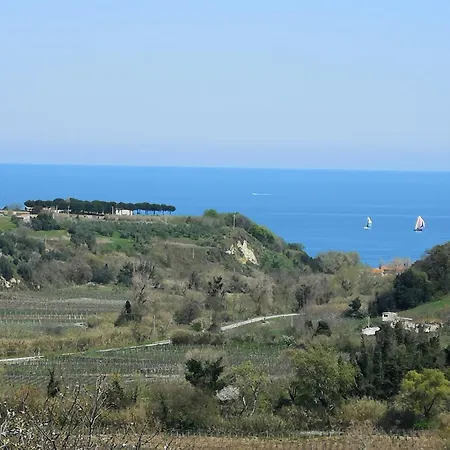 B&B Stella dell'Adriatico-2