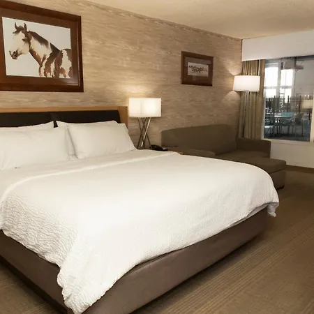 Holiday Inn Spearfish-Convention Center By Ihg-2