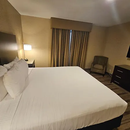Best Western Pasadena Royale Inn & Suites-2