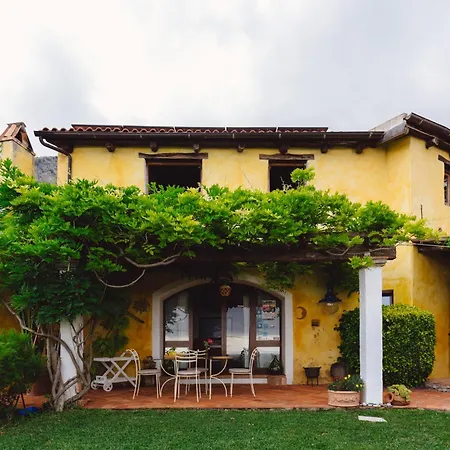 B&B Calandrella-2