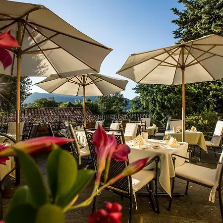 Swiss Historic & Garten Hotel Villa Carona-3