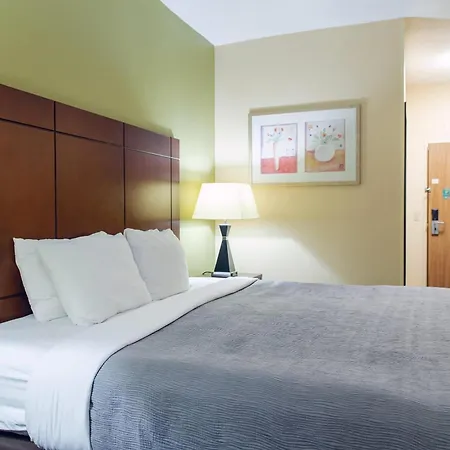 Quality Inn & Suites Bloomington I-55 And I-74-2
