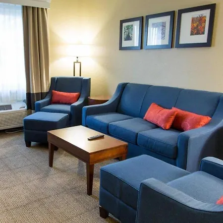Comfort Inn Dfw Airport North-2