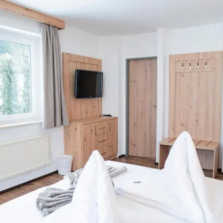 Hotel Alpina-3