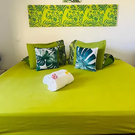 Lokai House-2