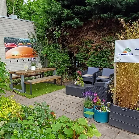 B&B de Koepeltjes-2