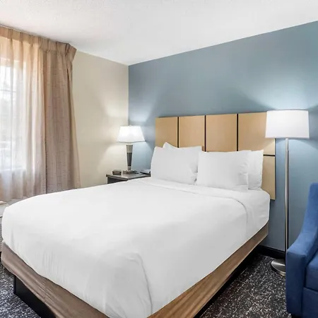 Executive Residency By Best Western Philadelphia-Willow Grove-3