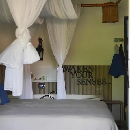 Xamã Senses - Hotel Pousada-2