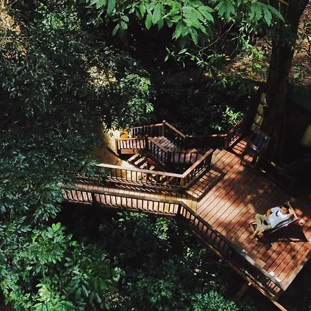 Our Jungle House-3