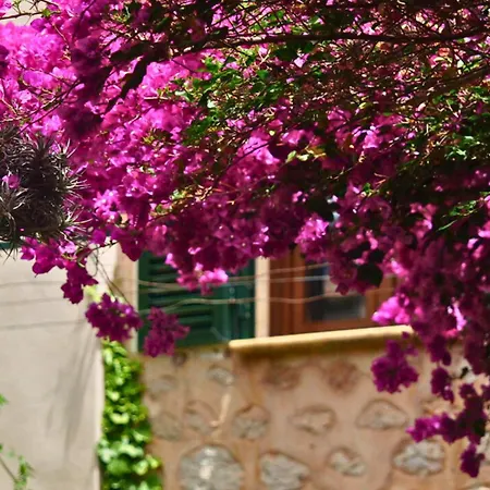 Hotel Casa Bougainvillea-2