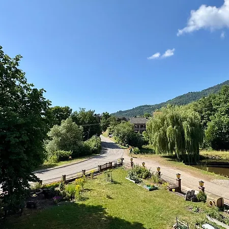Aux Gîtes de l'Étang - Thannenkirch Bergheim-3