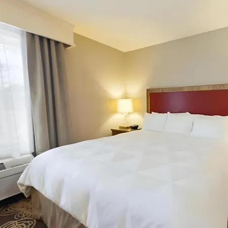 Hotel San Diego-Rancho Bernardo-2