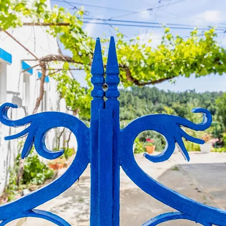 Lameira Da Longra - Wellness Retreat-3