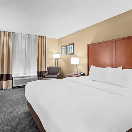 Comfort Inn University Area-3