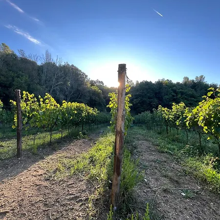 Agriturismo Tenuta Il Molino-2