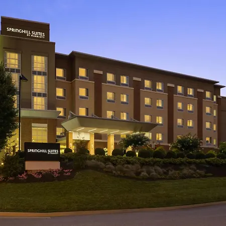 Springhill Suites By Marriott Roanoke-2