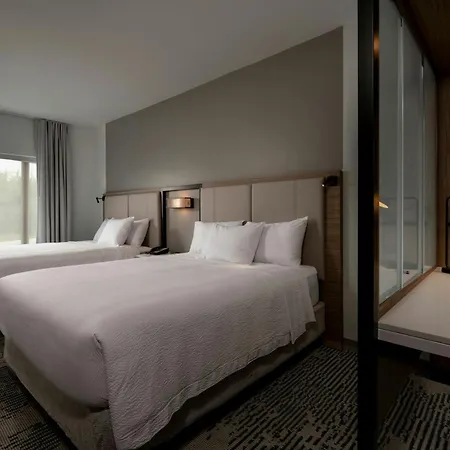 Springhill Suites By Marriott Houston Brookhollow-2