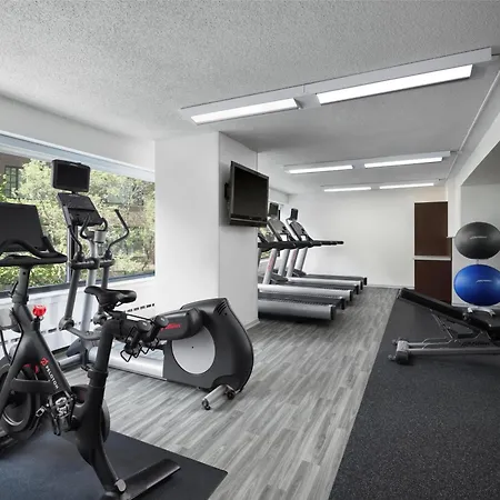 Sonesta Es Suites Chicago Downtown Magnificent Mile Medical-2