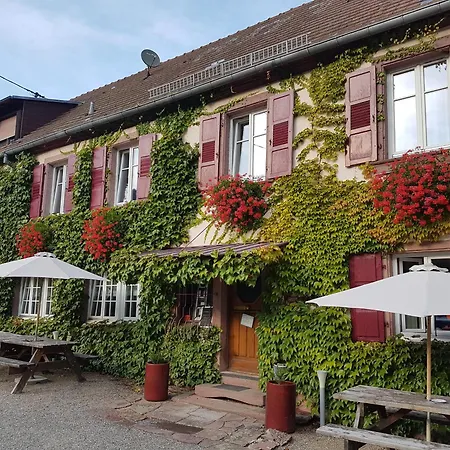 Hôtel du Haut Koenigsbourg - calme et nature-3