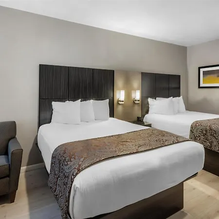 Surestay Plus By Best Western Santa Clara Silicon Valley-2